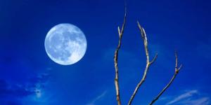 Голубая луна: чем опасно явление Как часто бывает голубая луна